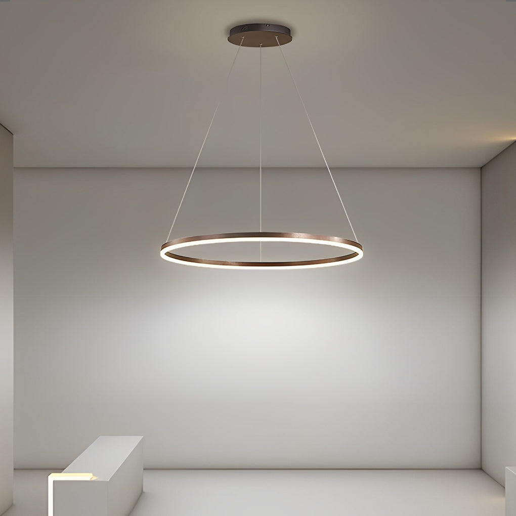 16'' Simple Circle Acrylic Pendant Light - Single Pendant Lighting with Aluminum Structure