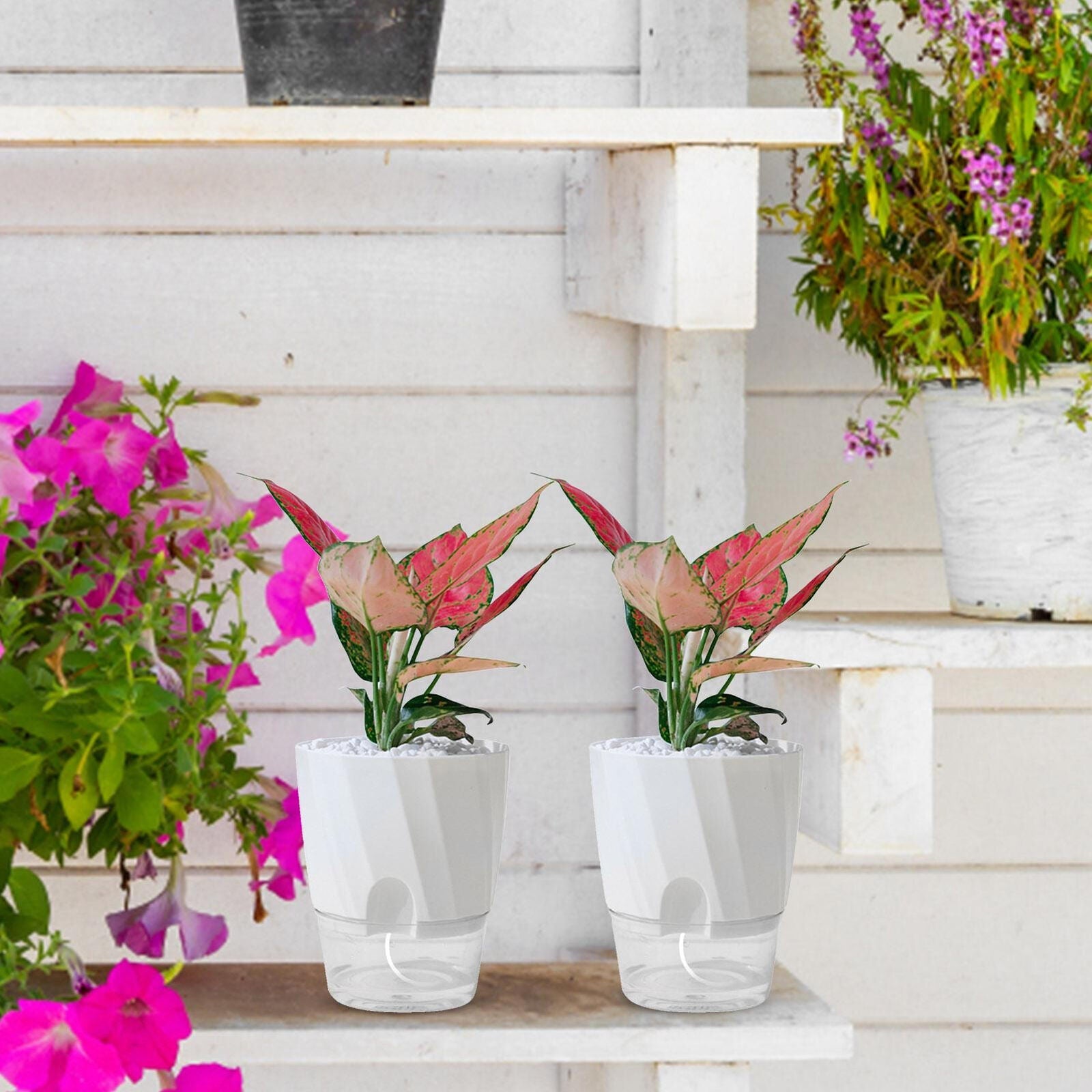 Planter with Automatic Watering System