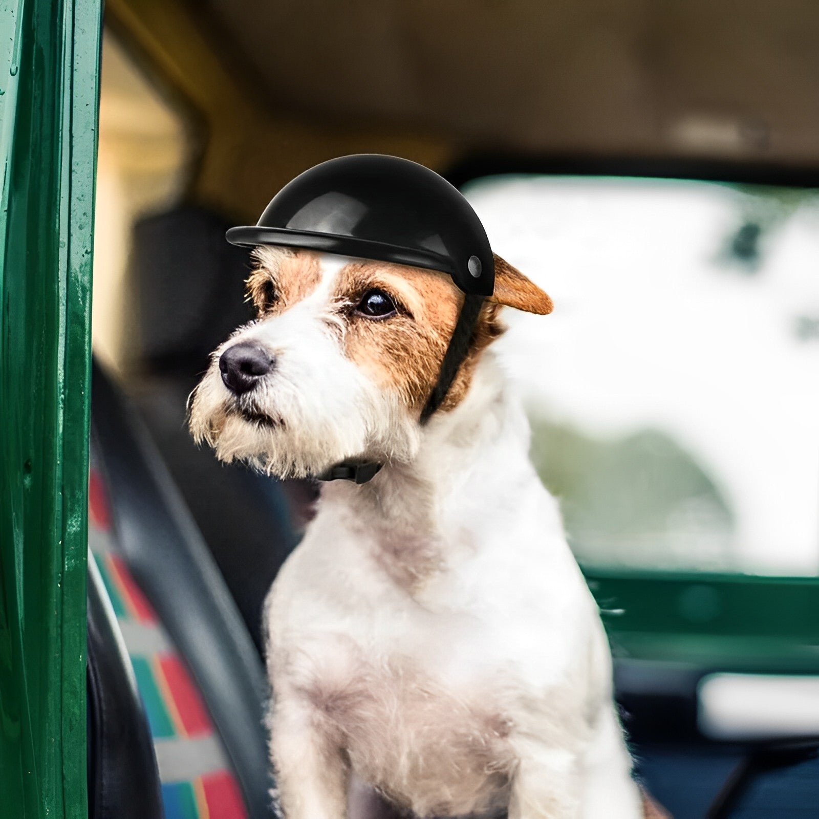 Pet Travel Helmet with Protective Goggles