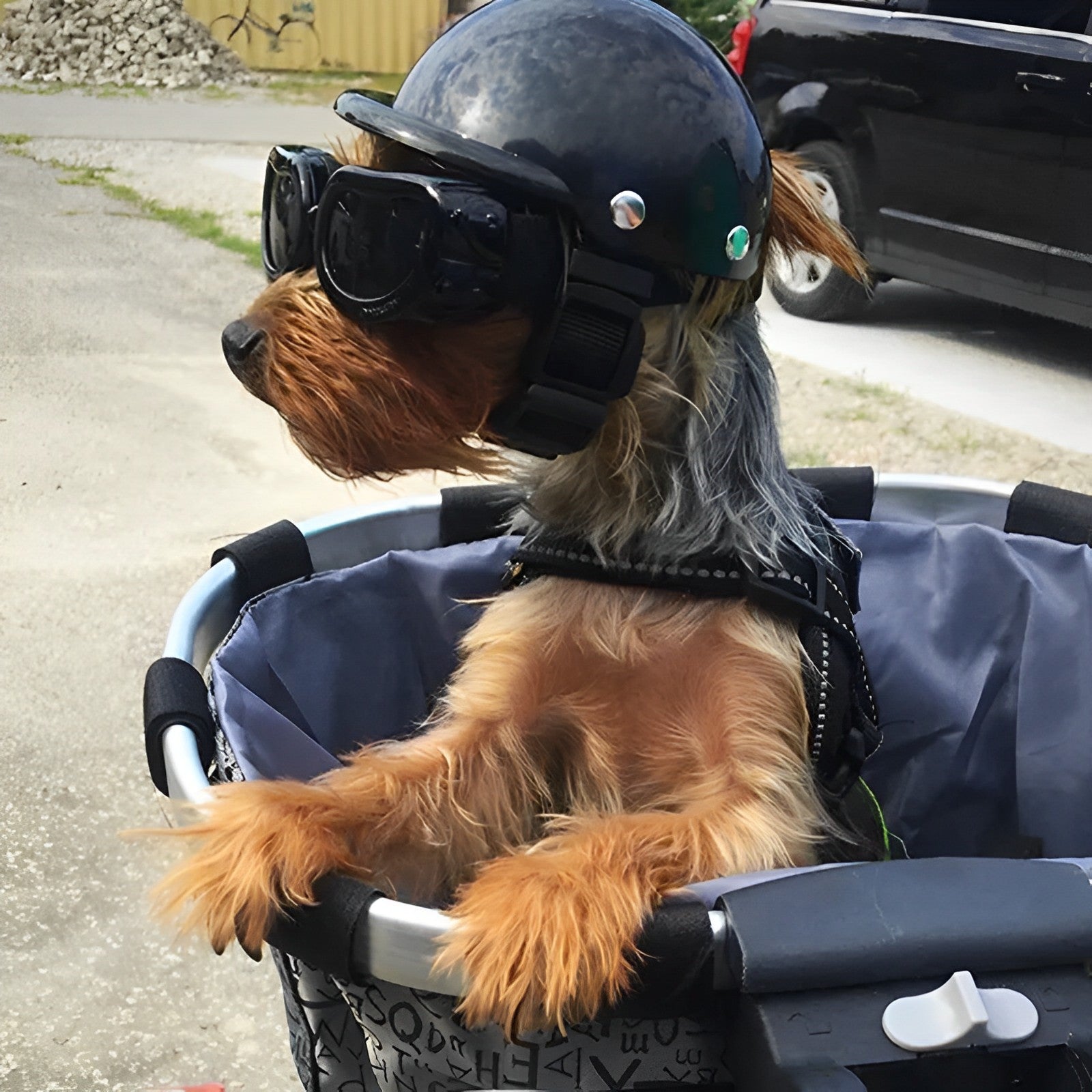 Pet Travel Helmet with Protective Goggles