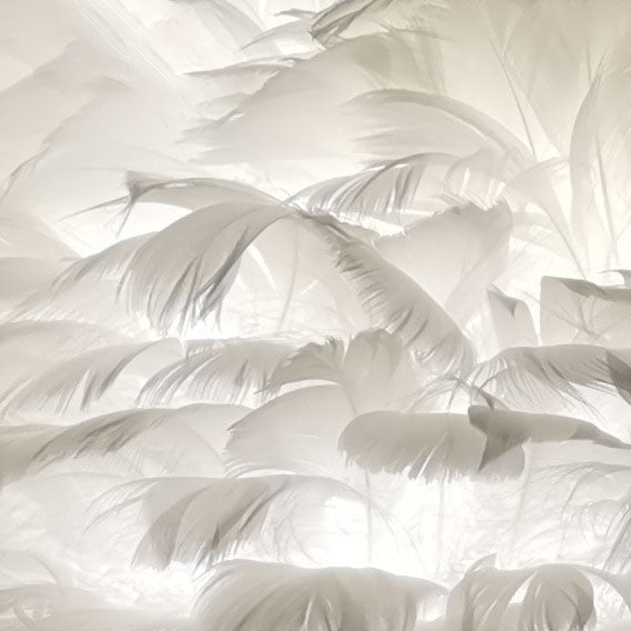Contemporary Nordic Taavita Feather Metal Flamingo 1-Light Table Lamp for Nightstand