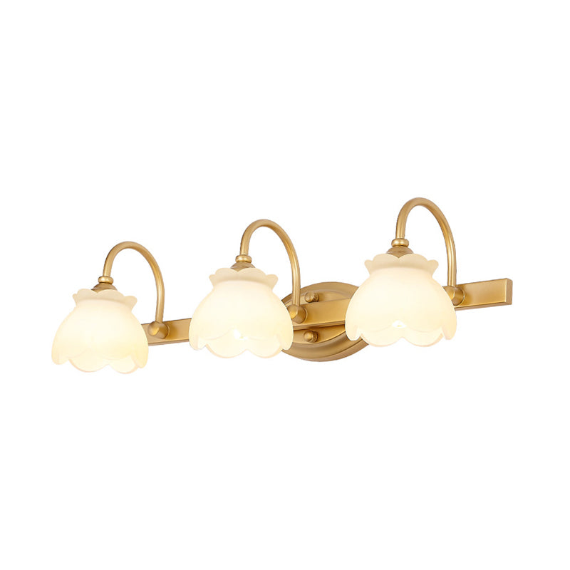 Taavita Bathroom Mirror Vanity Light Traditional Metal LED 2/3/4 Heads Wall-Mounted Lamp Brass