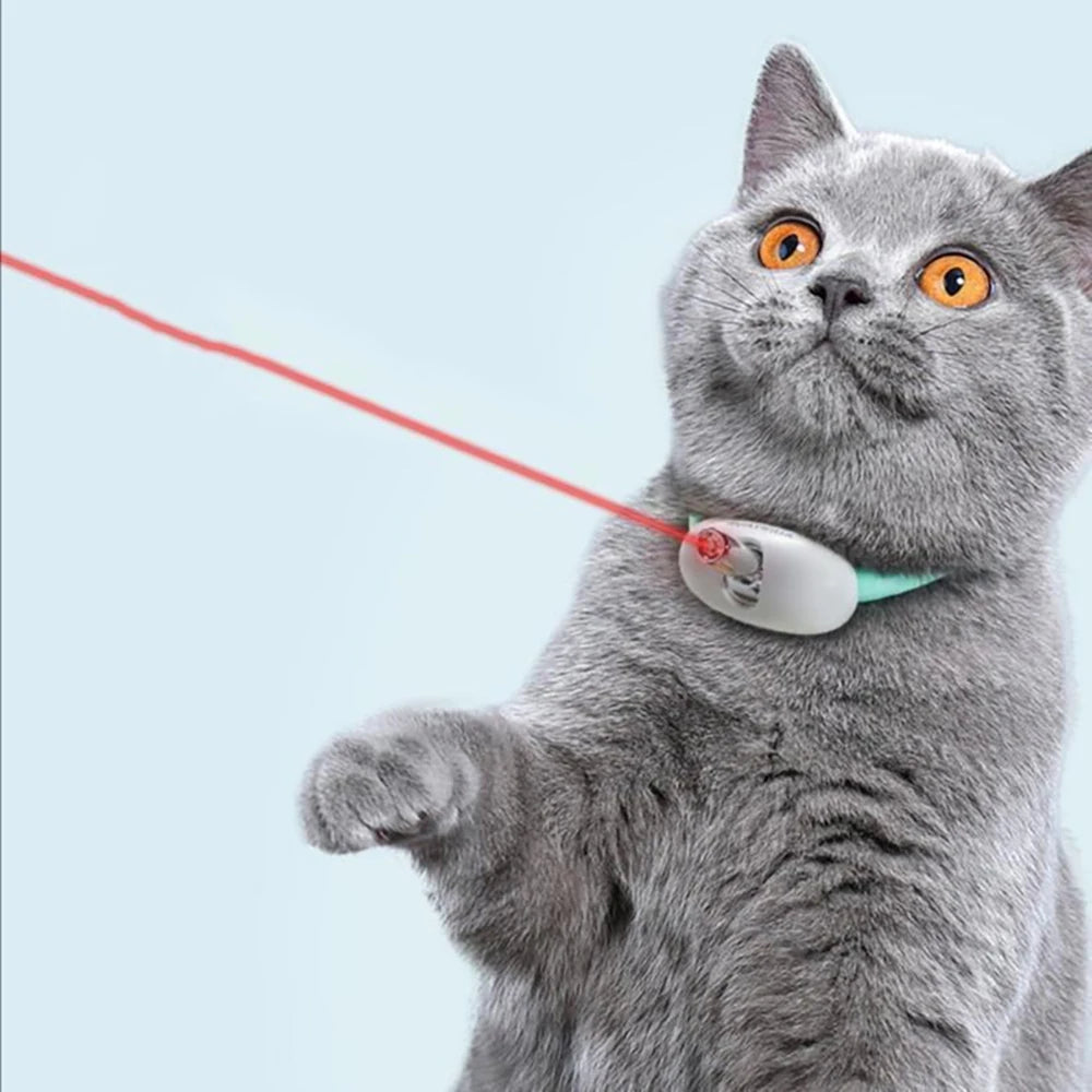 Smart Laser Collar for Cats with USB Rechargeable Feature
