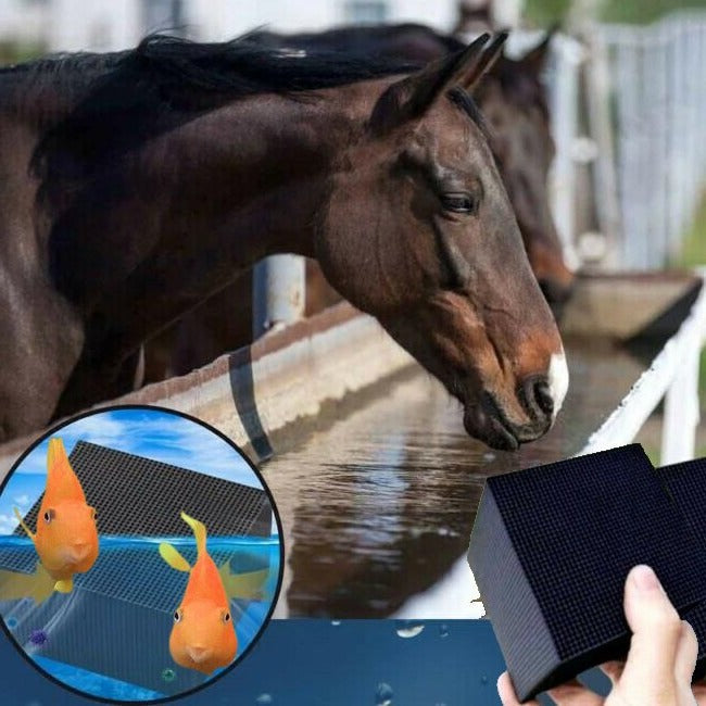 Bio Cube Water Filter for Livestock, Aquatic Tanks, and Horse Troughs