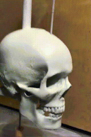 Halloween Garden Skull Whirligig with Spinning Jaw – Outdoor Decor