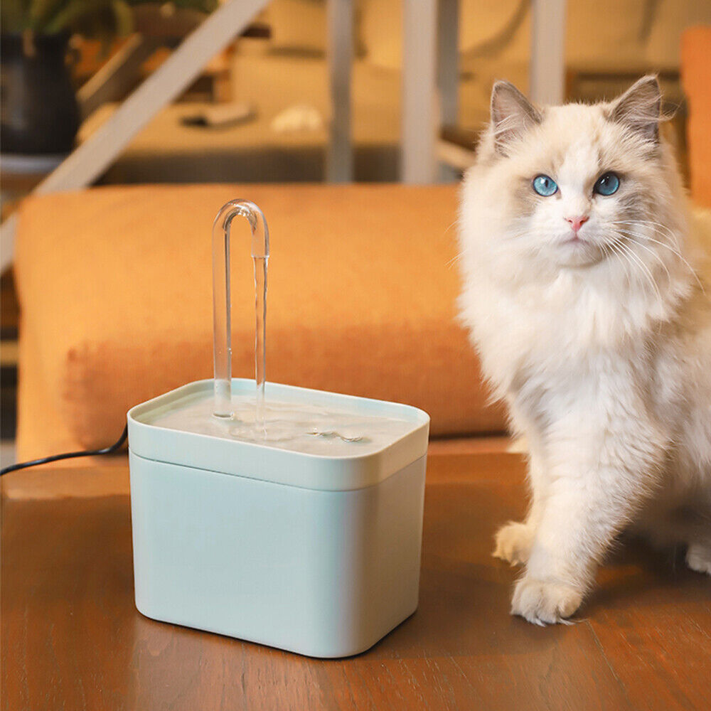 Automatic Water Feeder for Pets