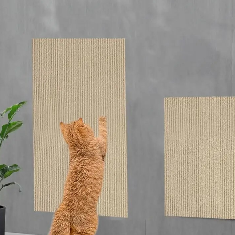 Cat Scratch Protector Mat for Couch and Carpet