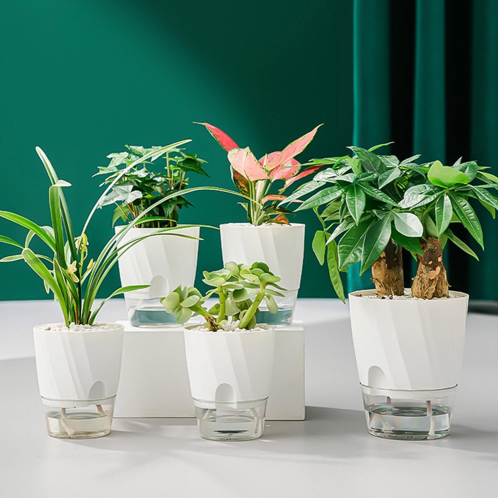 Planter with Automatic Watering System
