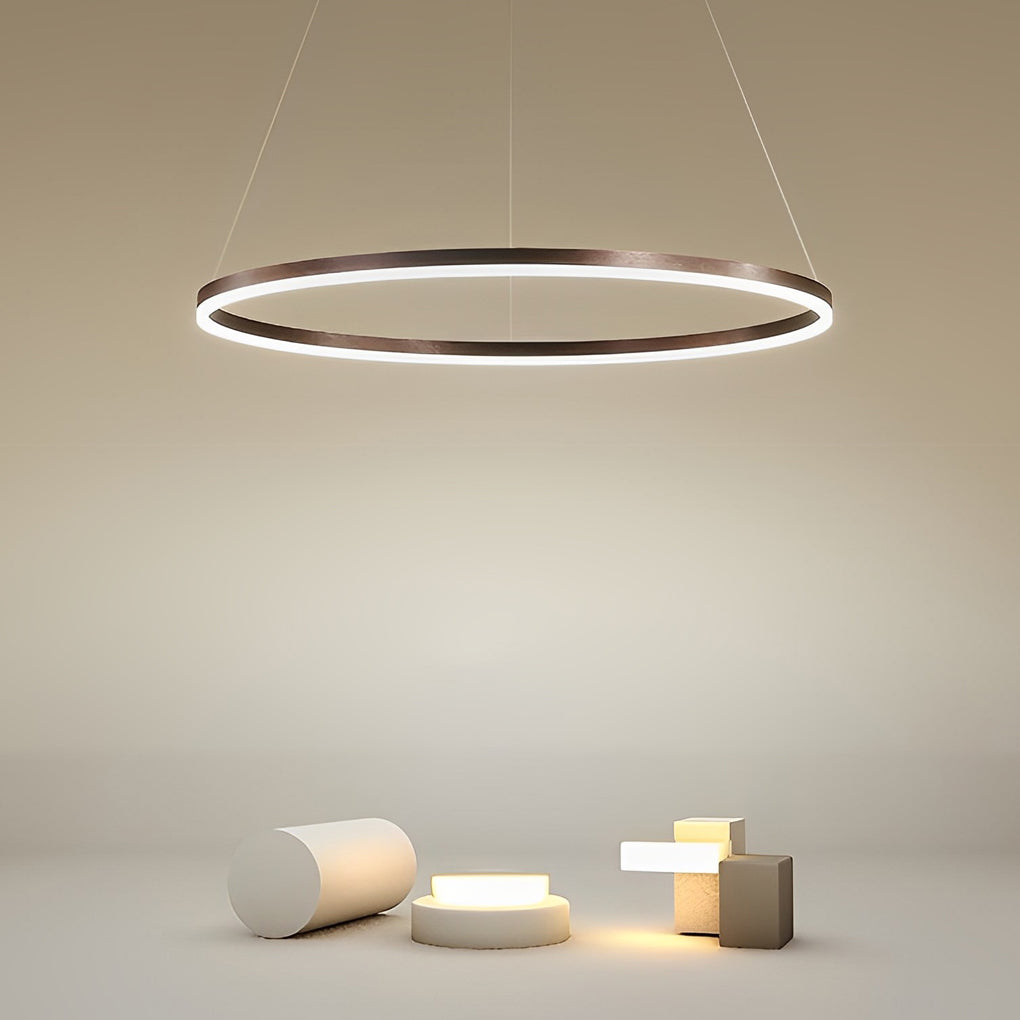 16'' Simple Circle Acrylic Pendant Light - Single Pendant Lighting with Aluminum Structure