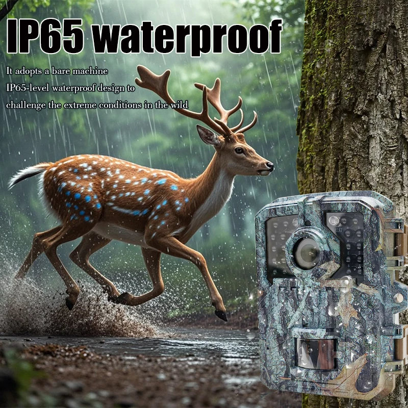 Compact 16MP Wildlife Camera with Night Vision and PIR Motion Detection