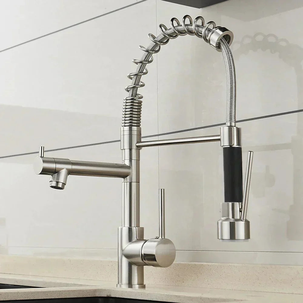 Elegant Duo Spout Kitchen Faucet with Luxe Black and Gold Design