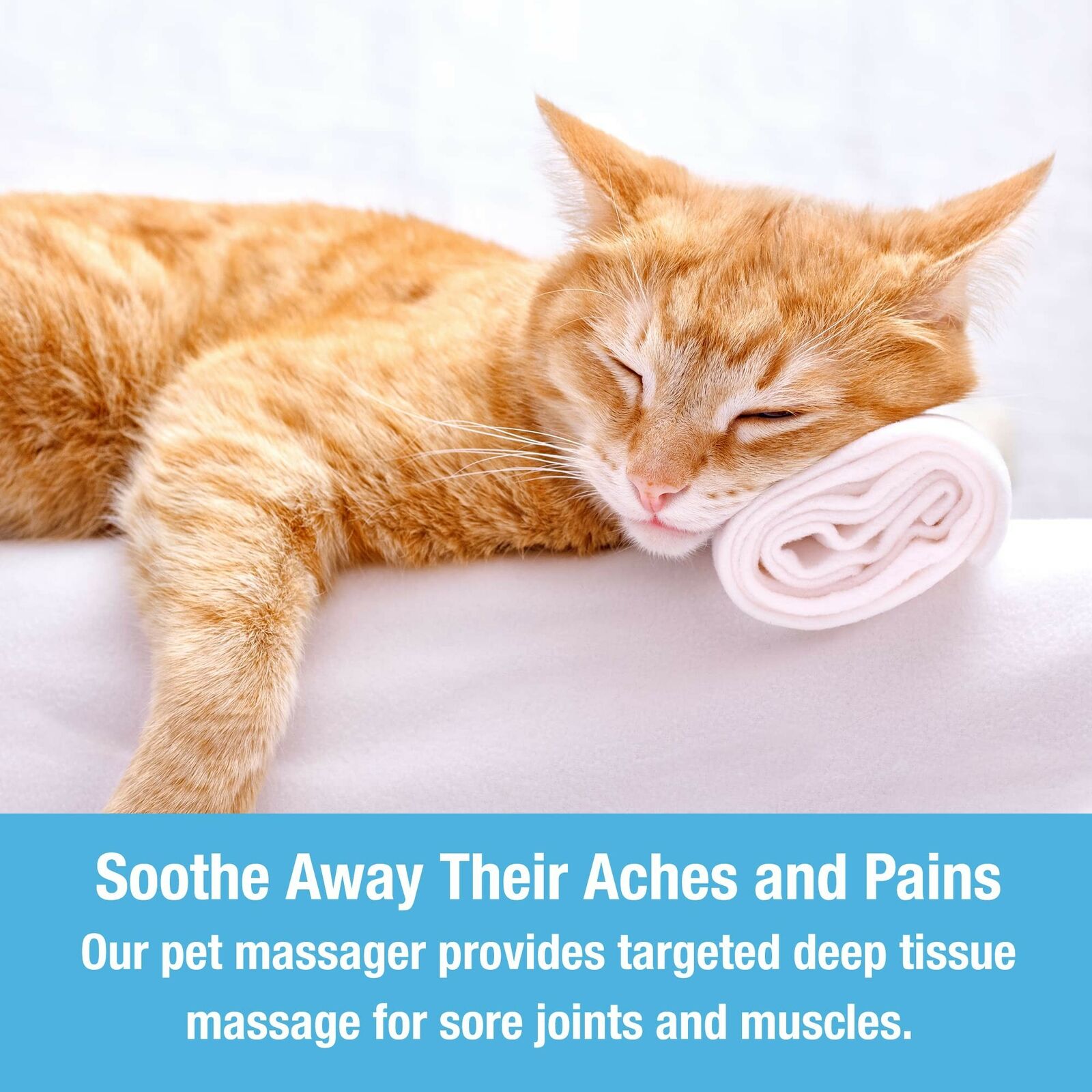 Massage Device for Pets