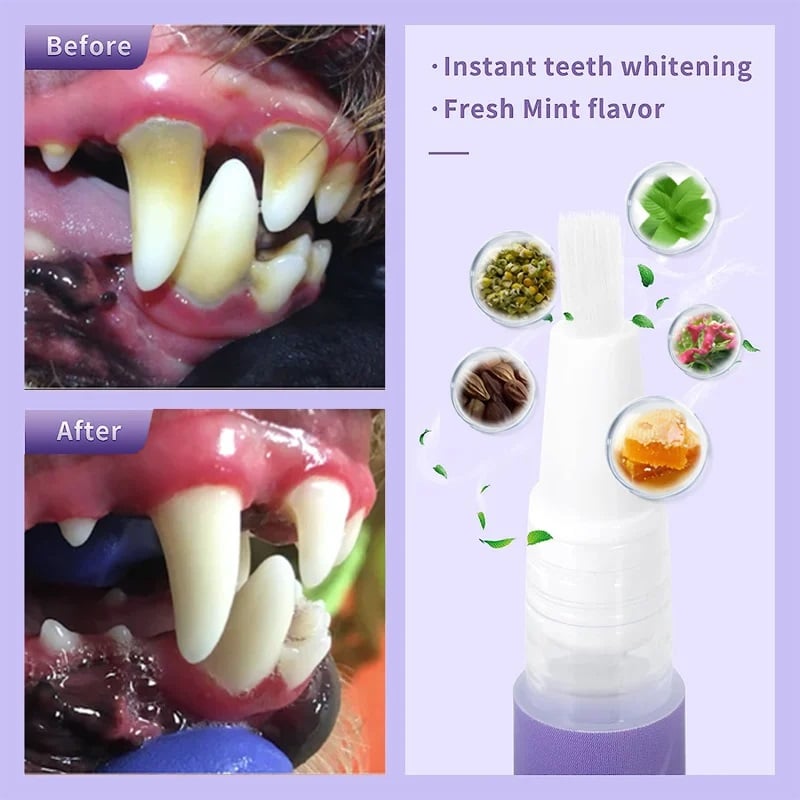 Natural Oral Care Gel for Cats and Dogs – Dental Hygiene Solution