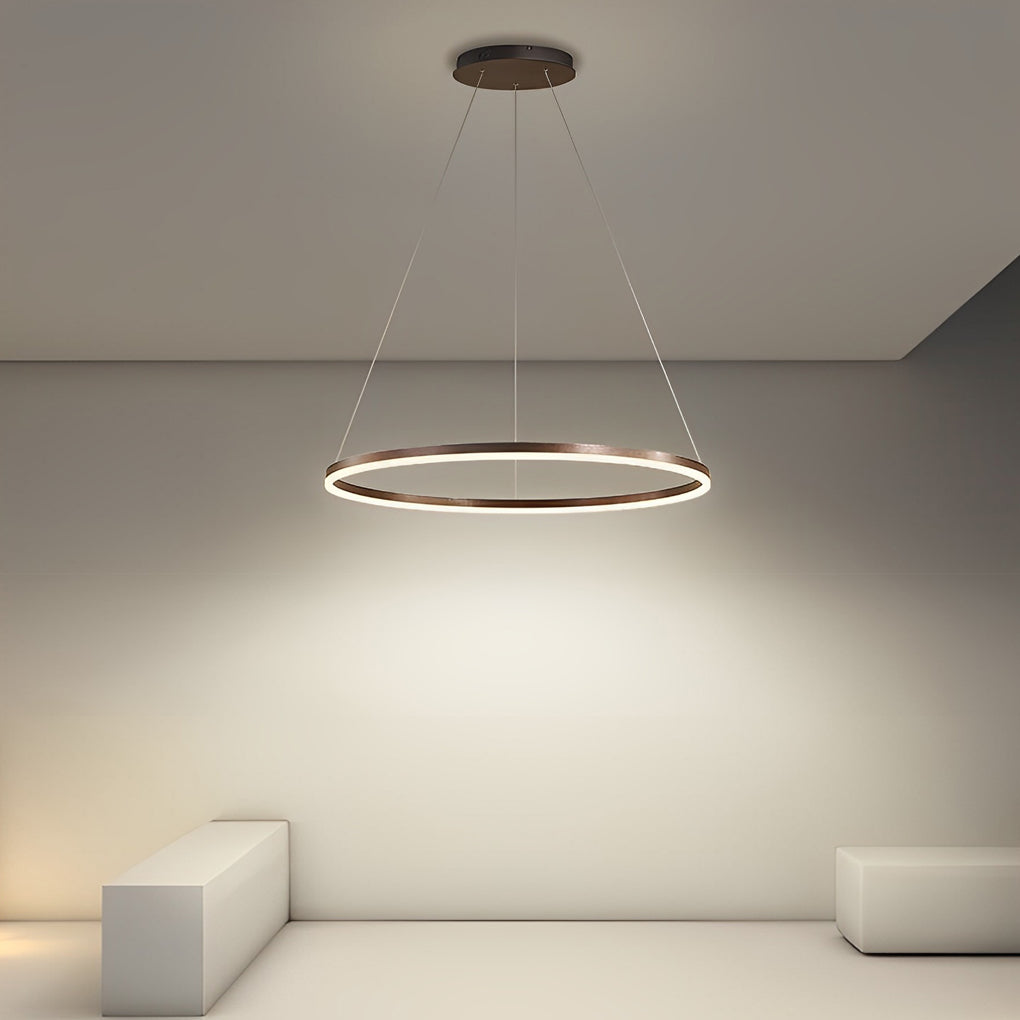 16'' Simple Circle Acrylic Pendant Light - Single Pendant Lighting with Aluminum Structure