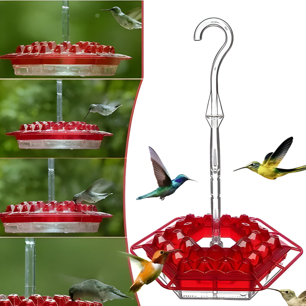 Delightful Nectar Feeder for Your Outdoor Retreat
