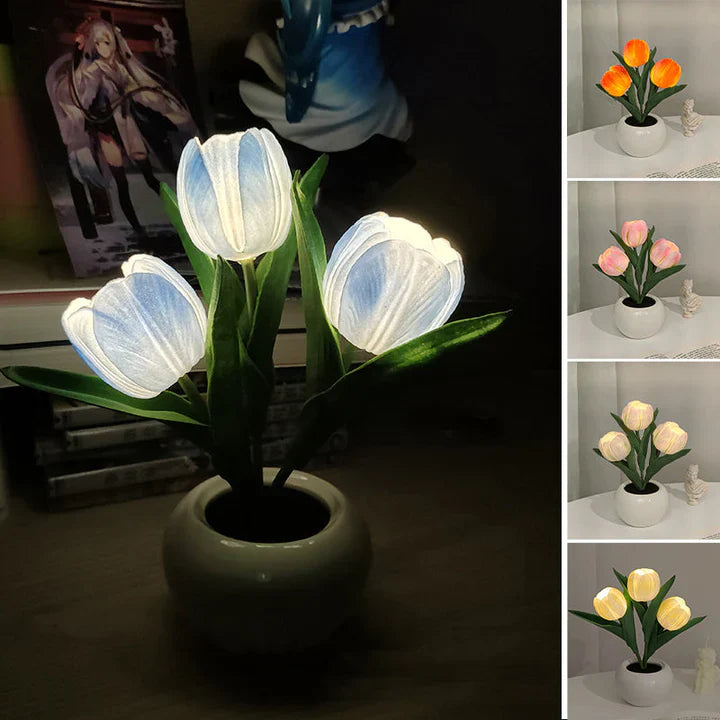 Ceramic Pot Table Lamp with LED – Cozy Accent Lighting