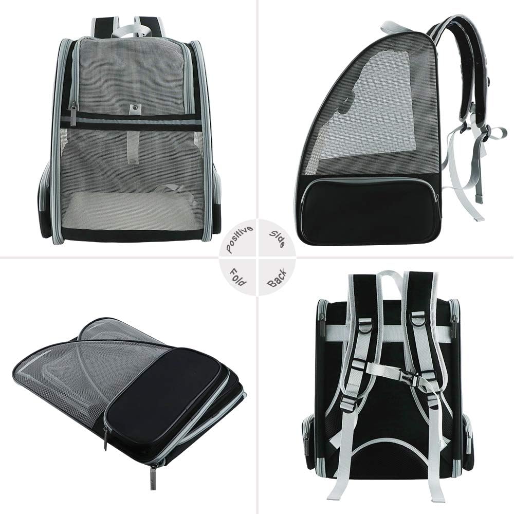 Explorer Pet Backpack Carrier for Cats and Small Dogs