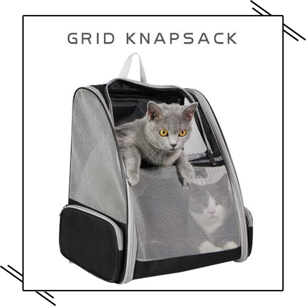 Explorer Pet Backpack Carrier for Cats and Small Dogs