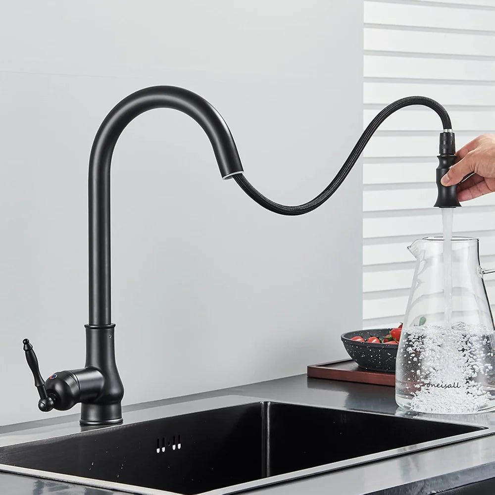 Elegant Brass Swivel Spout Kitchen Mixer Faucet