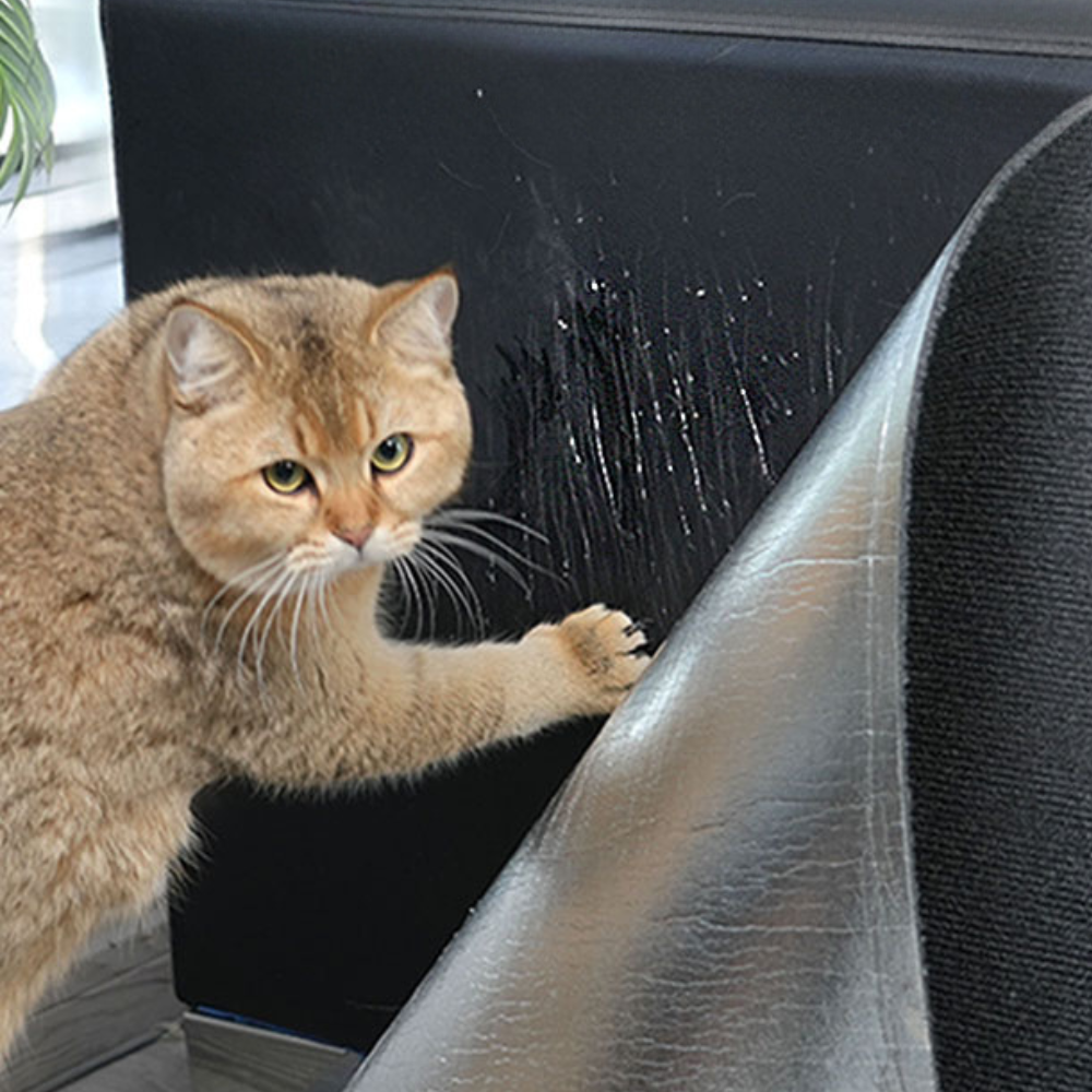 Cat Scratch Protector Mat for Couch and Carpet
