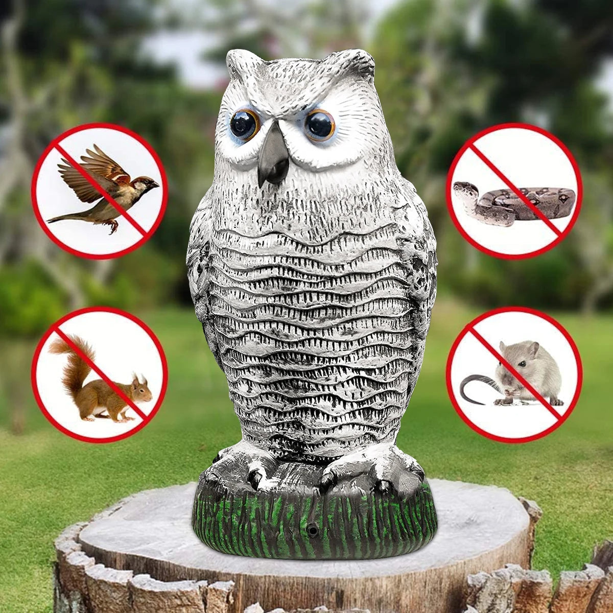 Naturalistic Owl Decoy for Bird Deterrence