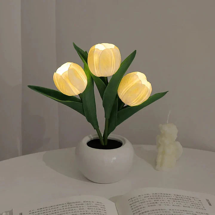 Ceramic Pot Table Lamp with LED – Cozy Accent Lighting