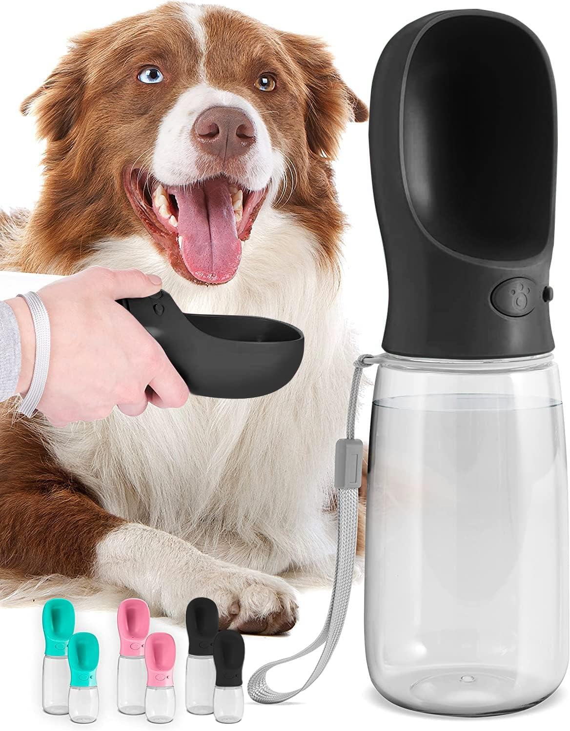 On-the-Go 19 oz Pet Hydration Bottle