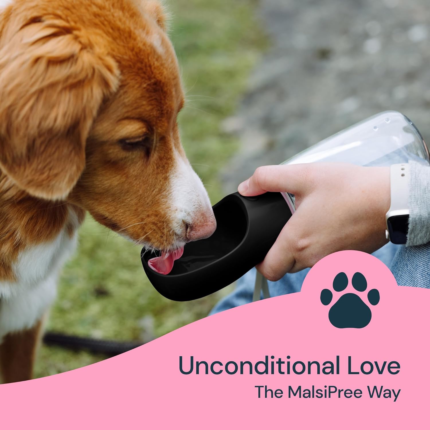 On-the-Go 19 oz Pet Hydration Bottle