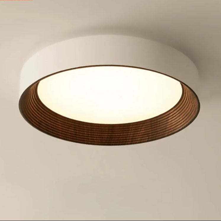 Illuminate Your Space with the Modern Aura Ceiling Fixture