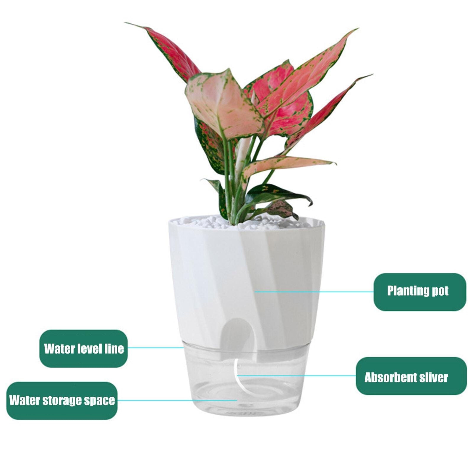 Planter with Automatic Watering System