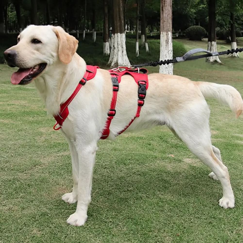 SafeStride Reflective Dog Harness for Secure and Easy Walks