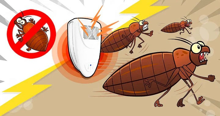 Ultrasonic Bug Repellent - Eliminate Bed Bugs in 48 Hours