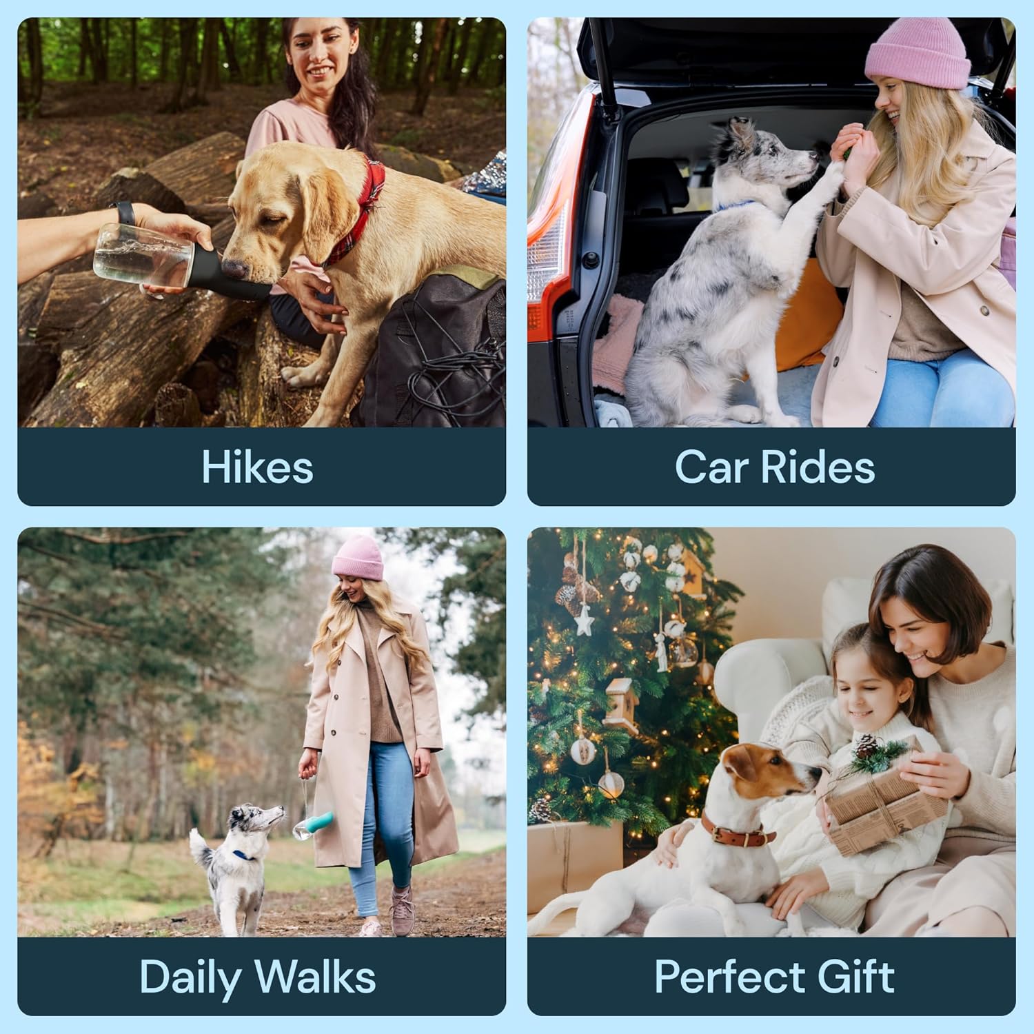 On-the-Go 19 oz Pet Hydration Bottle