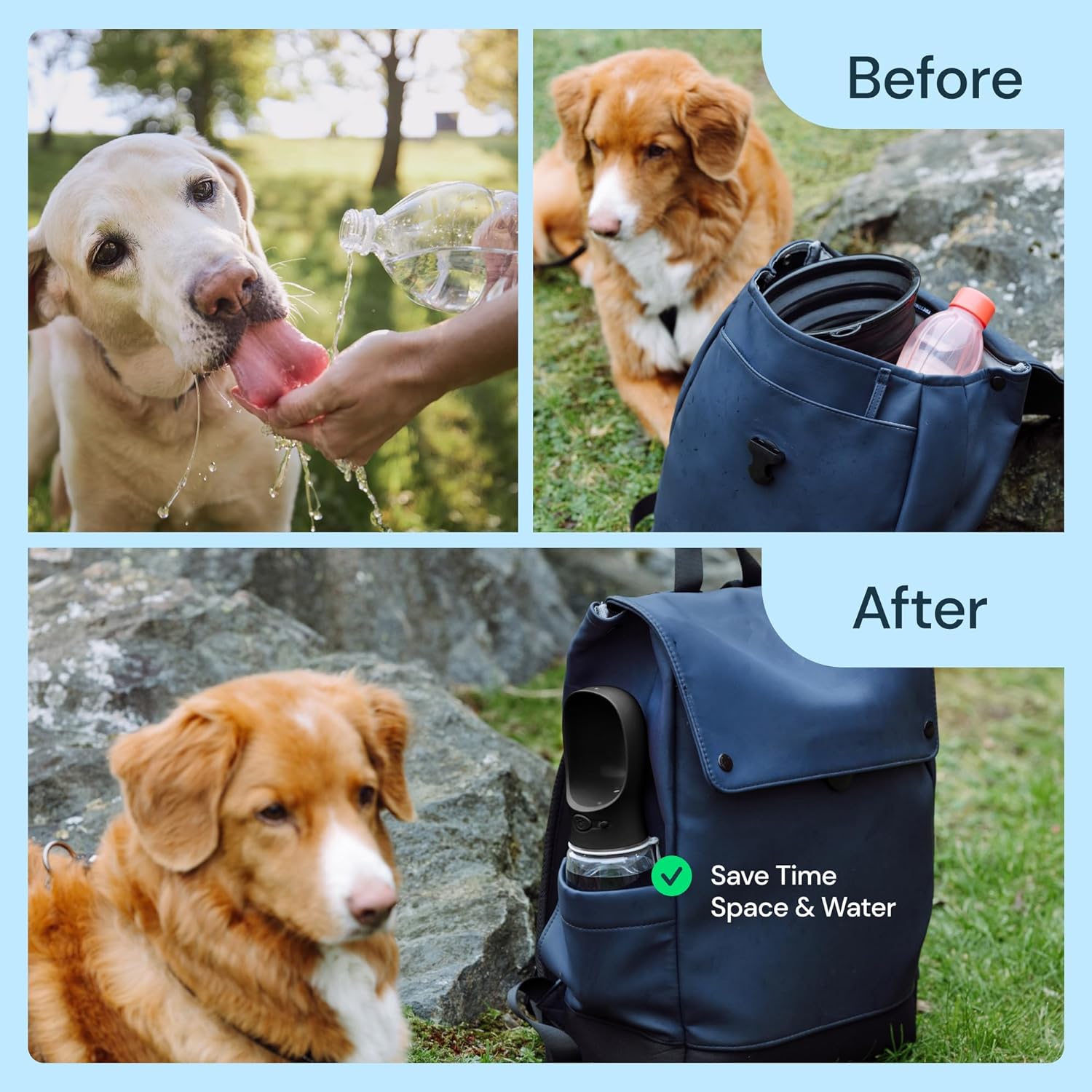 On-the-Go 19 oz Pet Hydration Bottle