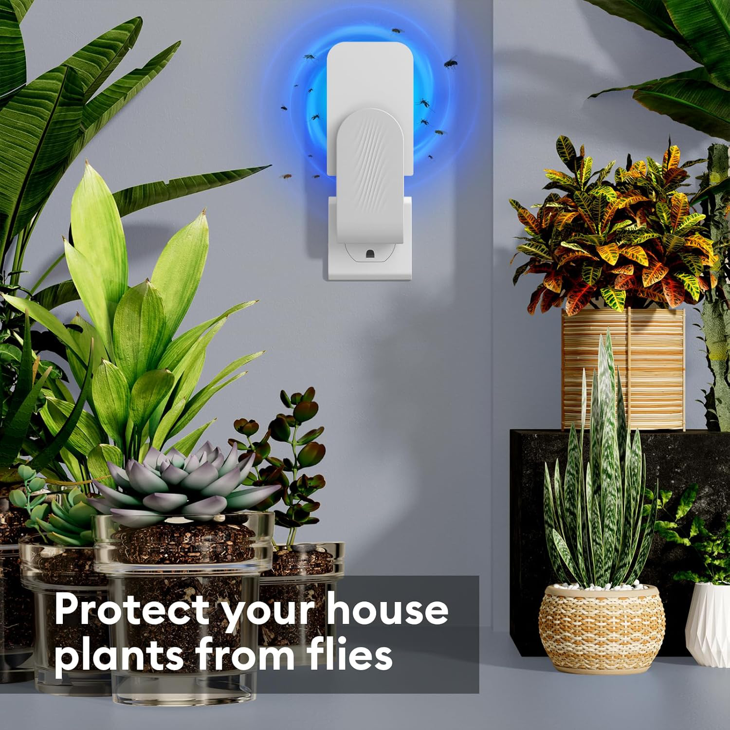 Indoor Insect Catcher