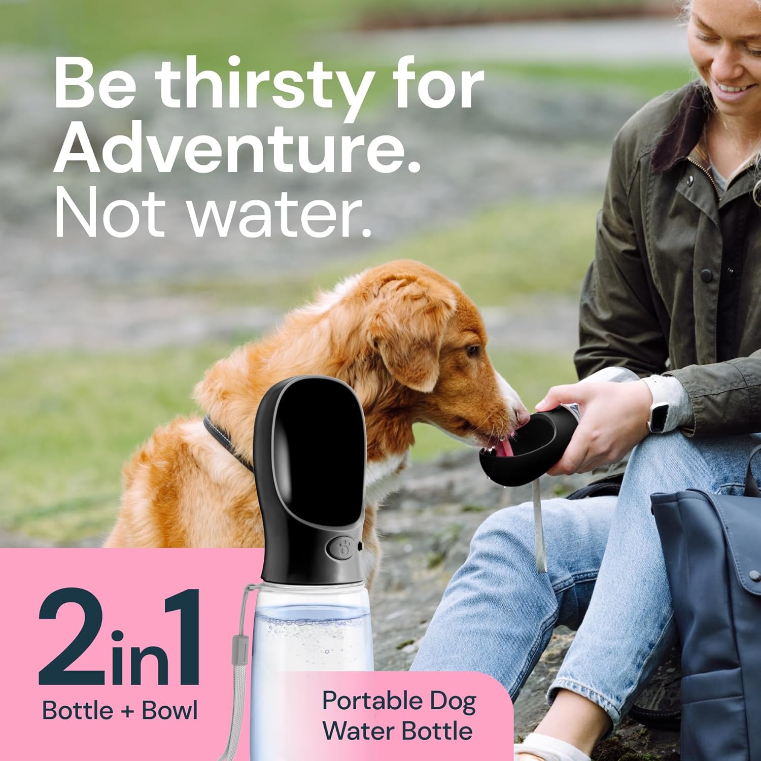 On-the-Go 19 oz Pet Hydration Bottle