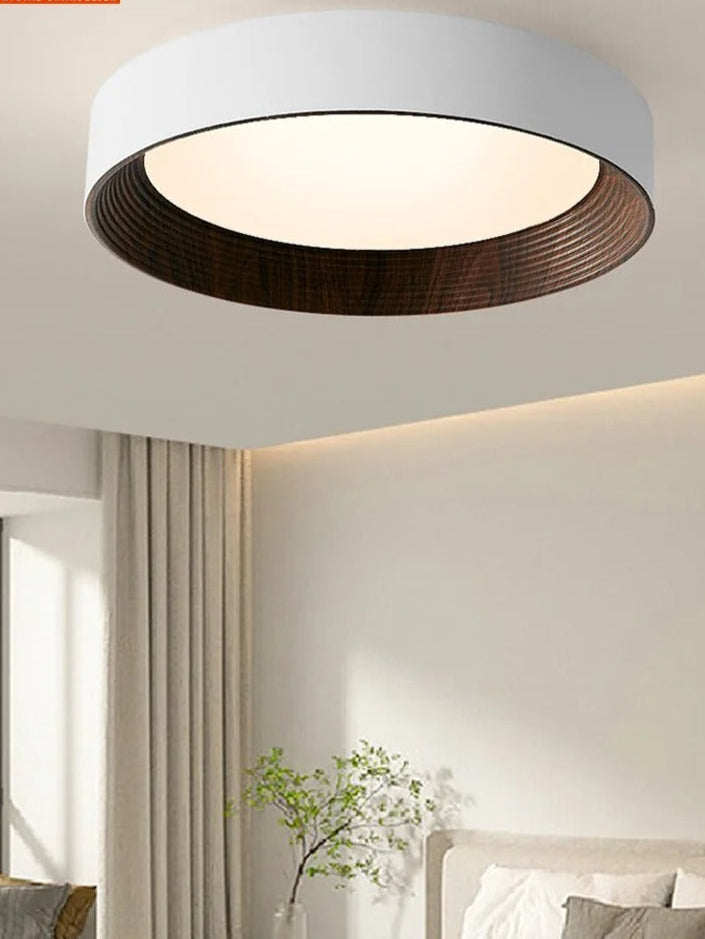 Illuminate Your Space with the Modern Aura Ceiling Fixture