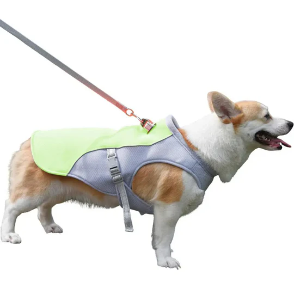 Summer Cooling Vest for Dogs – Breathable Gear for Outdoor Adventures