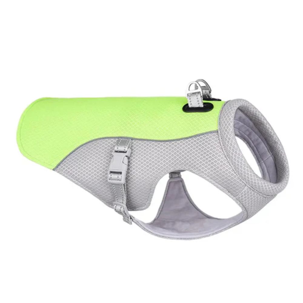 Summer Cooling Vest for Dogs – Breathable Gear for Outdoor Adventures