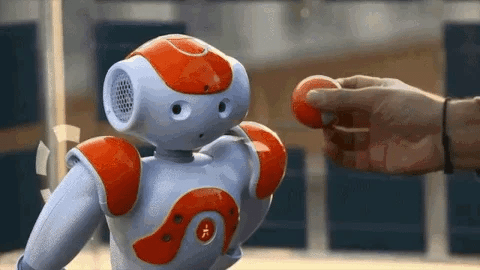 AI Companion Robot for Smart Homes – Multi-Language Interaction