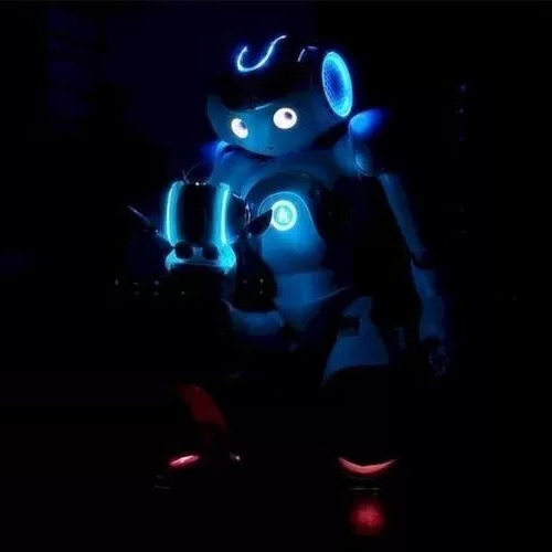 AI Companion Robot for Smart Homes – Multi-Language Interaction