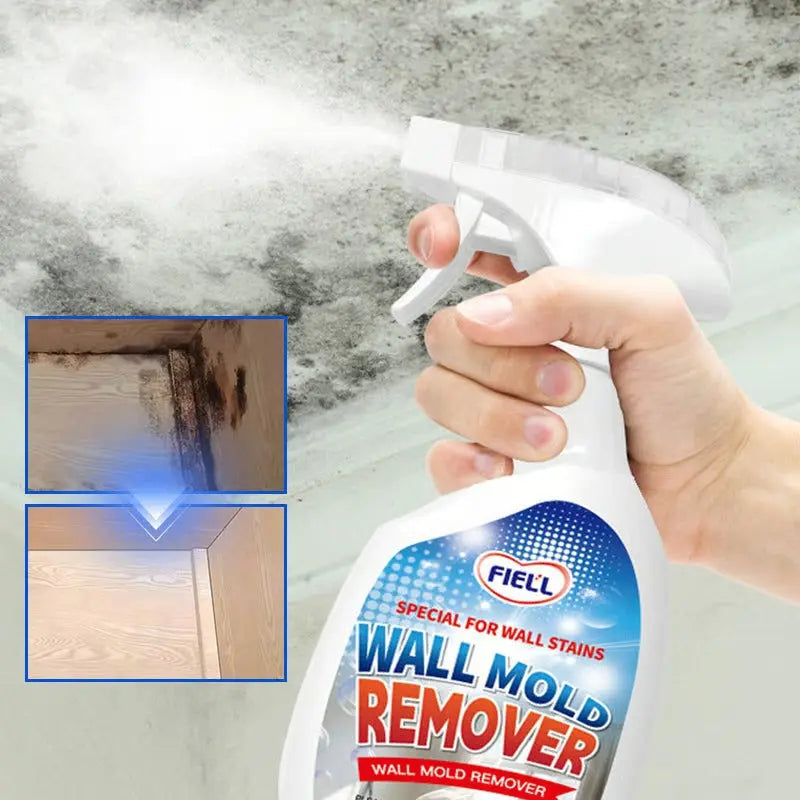 Ultimate Mold Defense Spray - Fast Acting and Long-Lasting Protection
