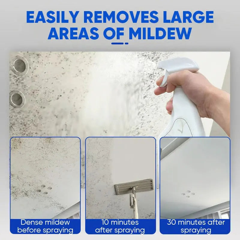 Ultimate Mold Defense Spray - Fast Acting and Long-Lasting Protection