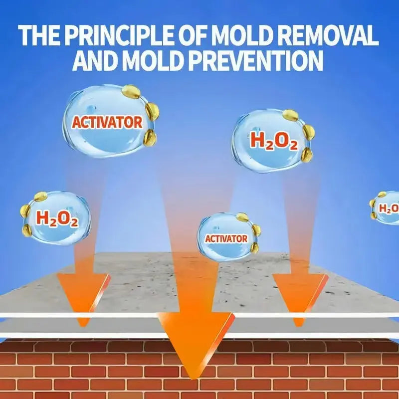 Ultimate Mold Defense Spray - Fast Acting and Long-Lasting Protection