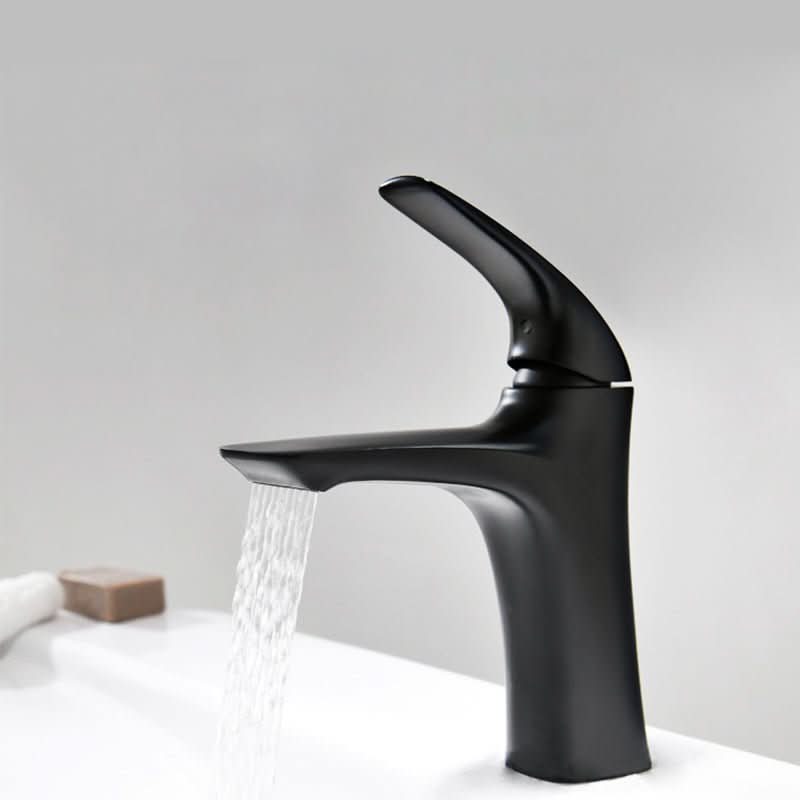 Elegant Brass Faucet with Vintage Black Finish for Your Basin