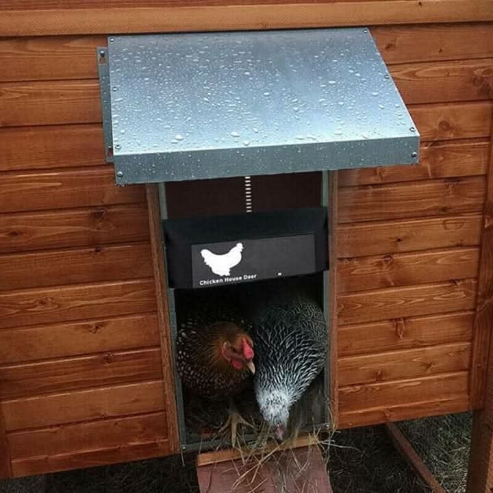Automatic Chicken Coop Door with Light Sensor and Weather-Resistant Build