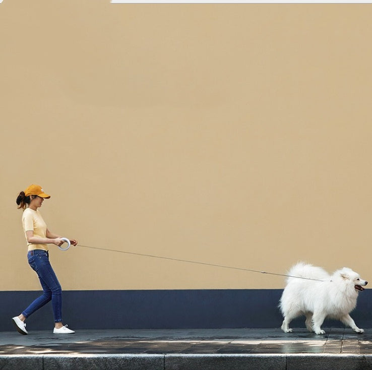 Retractable Dog Leash with Ergonomic Handle for Safe Walking