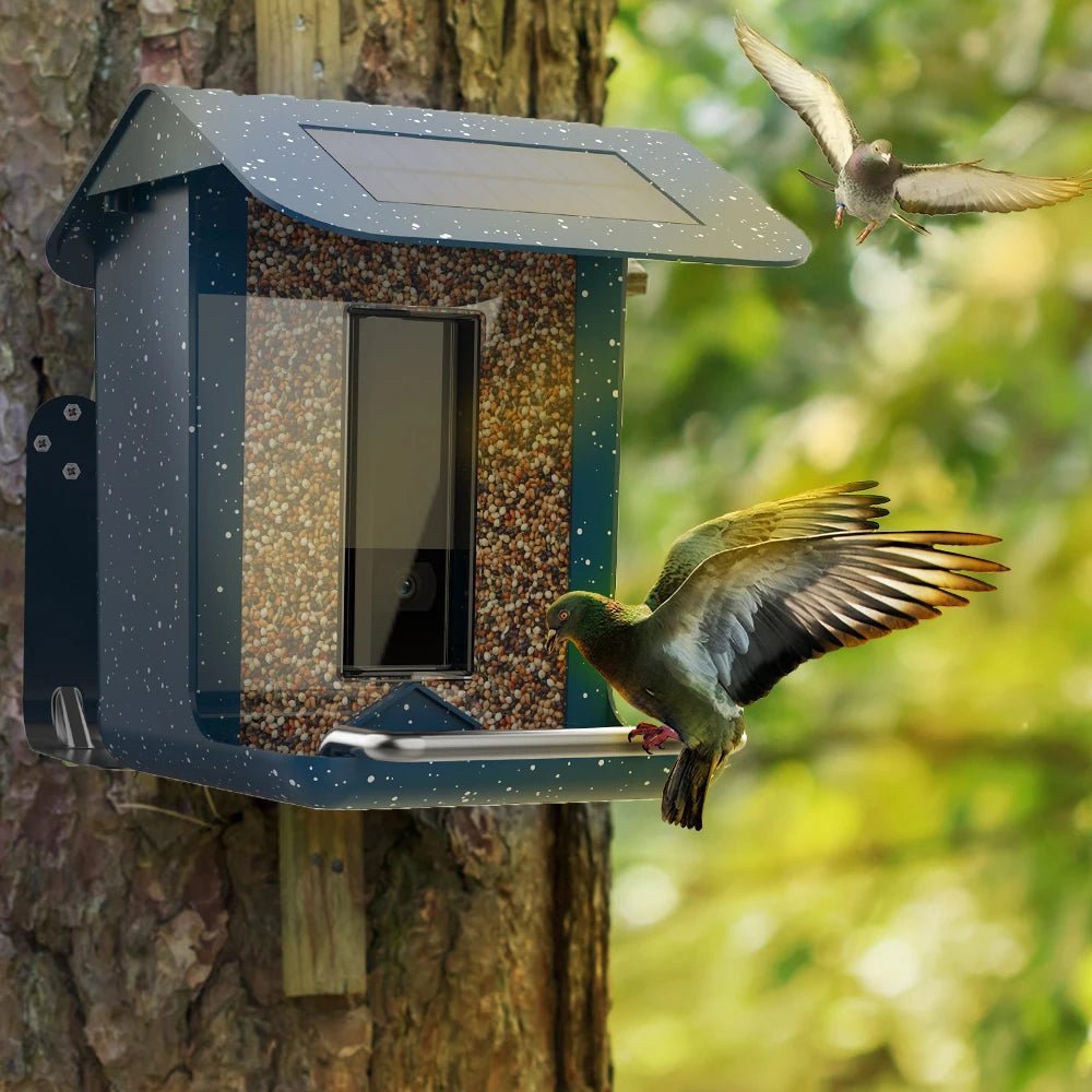 BirdWatch Pro: Smart Feeder with Live Streaming Access
