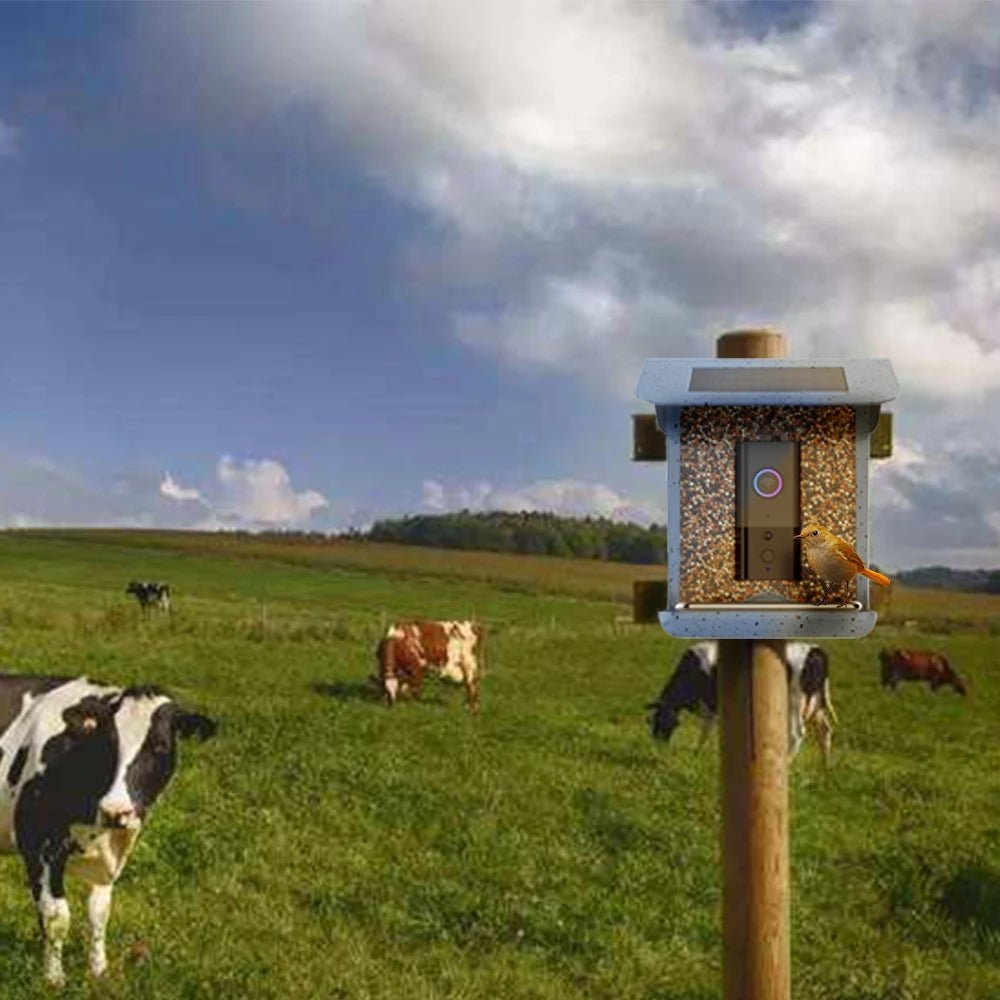 BirdWatch Pro: Smart Feeder with Live Streaming Access