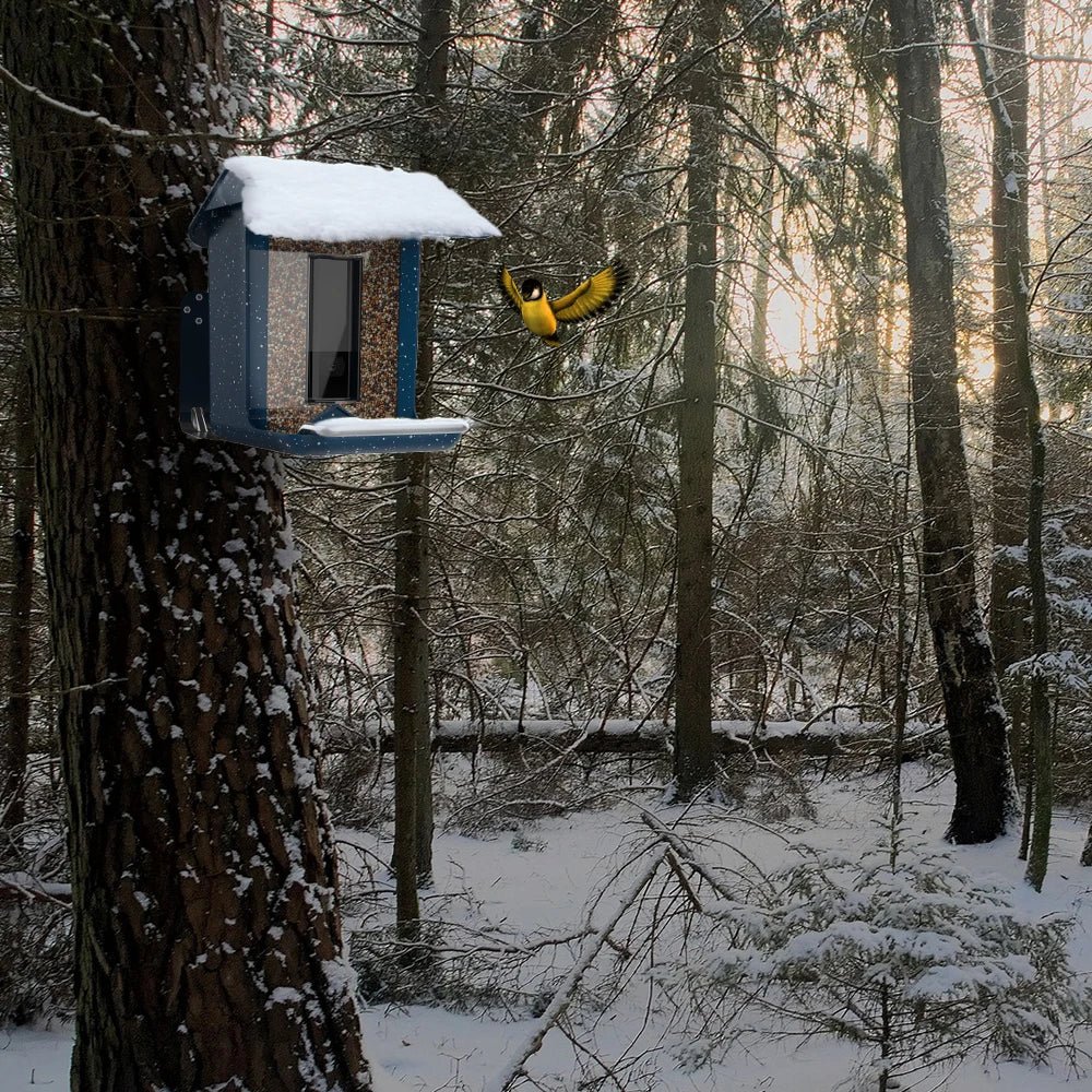 BirdWatch Pro: Smart Feeder with Live Streaming Access